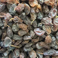 (پخش عمده کشمش ومویز) بختیاری