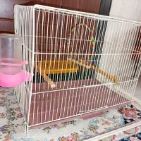 قفس پرنده سالم