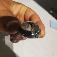 فروش انگشتر فیروزه نیشابور رکاب نقره دست‌ساز|کلکسیون اشیاء عتیقه|مشهد, شهید آوینی|دیوار