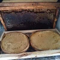 عسل طبیعی به زمانت آزمایشگاه|خوردنی و آشامیدنی|ربط, |دیوار