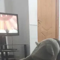 تلویزیون ال سی دی۳۲