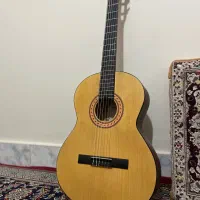 گیتار پارسی m2 آکبند