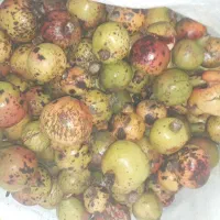 انار ترش