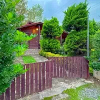 ویلاباغ طرح چوب جنگلی درنور باسند