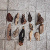 چوب طبیعی آکواریوم
