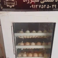 دستگاه جوجه کشی