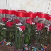 گل طبیعی رز تک شاخه ای|گل و گیاه طبیعی|اهواز, کوی طلاب|دیوار