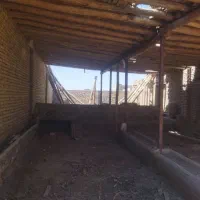 فروش زمین600متری درتربت حیدریه،روستای طاهر آباد|فروش زمین و ملک کلنگی|تربتحیدریه, حاجی یار|دیوار