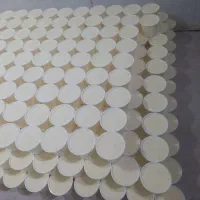 پخش سرشیر محلی و ماست محلی