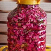 انواع و اقسام ترشی جات و سبزیجات وسالاد|خوردنی و آشامیدنی|فولادشهر, مسکن مهر فولادشهر|دیوار