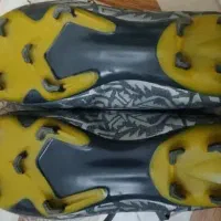 کفش|کیف، کفش، کمربند|همدان, |دیوار