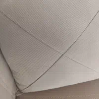 یک عدد پشتی پیدا شده