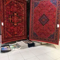 سرزمین فرش شاهین شهر|فرش|شاهینشهر, خانه کارگر|دیوار