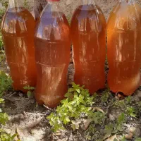 سرکه سیب|خوردنی و آشامیدنی|محلات, |دیوار