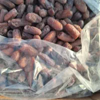 فروش یک تن خرمای درجه یک پیارم