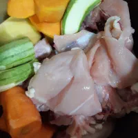 غذای خانگی گربه|لوازم جانبی حیوانات|تهران, سازمان برنامه جنوبی|دیوار