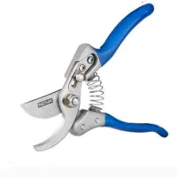 قیچی و اره باغبانی|ابزارآلات|زنجان, |دیوار