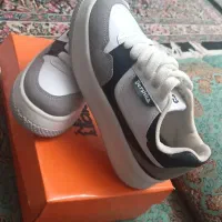 کتونی اسپرت