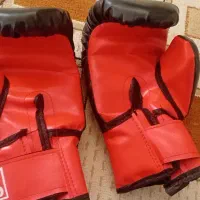 دو تا دستکش بوکس|تجهیزات ورزشی|ایلام, |دیوار