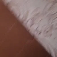 فرش ۱۲مترییه|فرش|هرسین, |دیوار