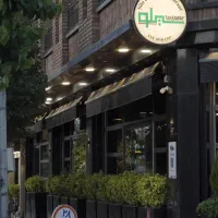 مهماندار و سالندار حرفه ای