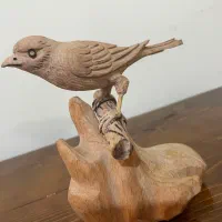 مجسمه قناری نفیس|مجسمه، تندیس، ماکت|شیراز, نشاط|دیوار