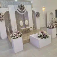 بادکنک ارایی و گل ارایی