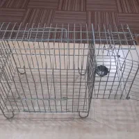 قفس نو