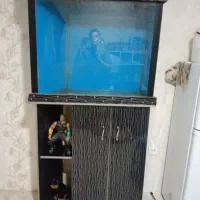 آکواریوم پایه دار شیک شیشه ۱۰میل زیر قیمت