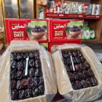 پخش کلی و جزئی خرما رطب خوش طعم