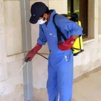 ریشه کنی حشرات سم پاشی سوسک ساس موریانه تضمینی