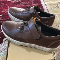 کفش|کیف، کفش، کمربند|کرج, مصباح|دیوار