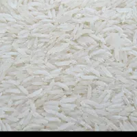 فروش برنج طارم هاشمی شمال