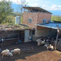 کارگر نگهبان