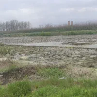مسکونی