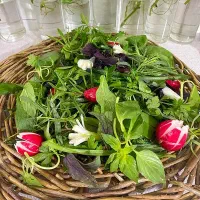 سبزی خوردن تازه وبسته بندی شده|خوردنی و آشامیدنی|کرج, دهقان ویلا|دیوار