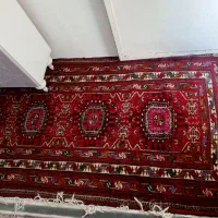 قالی دست باف|فرش|مشهد, کوی دروی|دیوار