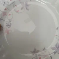 سرویس ارکوپال ۱۸ نفر