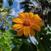 روستاجوزان