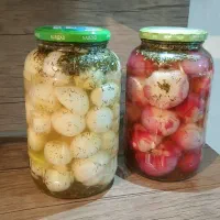 ترشیجات خانگی|خوردنی و آشامیدنی|اصفهان, منتظرالمهدی|دیوار