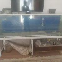 اکواریوم بزرگ