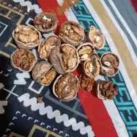 گردو و خاکشیر درجه یک