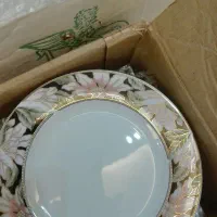 ب60عدد پلو خوری و60عددمیوه خوری.چینی مقصود درجه یک|ظروف سرو و پذیرایی|همدان, |دیوار