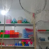 انواع پرنده و لوازم آنها و خوراک پرنده طالبی