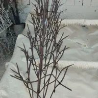 جوشکاری حفاظهای رودیواری|خدمات پیشه و مهارت|مرزن‌آباد, |دیوار