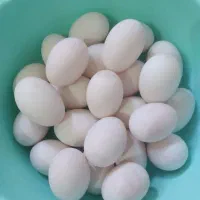 تخم اردک محلی
