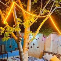 سوییت باغ کاج سپیدان سربست تخفیف ویژه