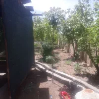 باغ ۳۵۰ متری جعفر اباد جاده اصلی دامداریها .