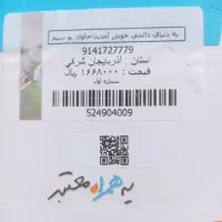 09141727779