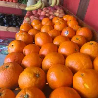 میوه و تره بار تازه